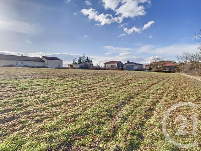 Terrain &agrave; vendre - 5000 m2 - St Vidal - 43 - AUVERGNE