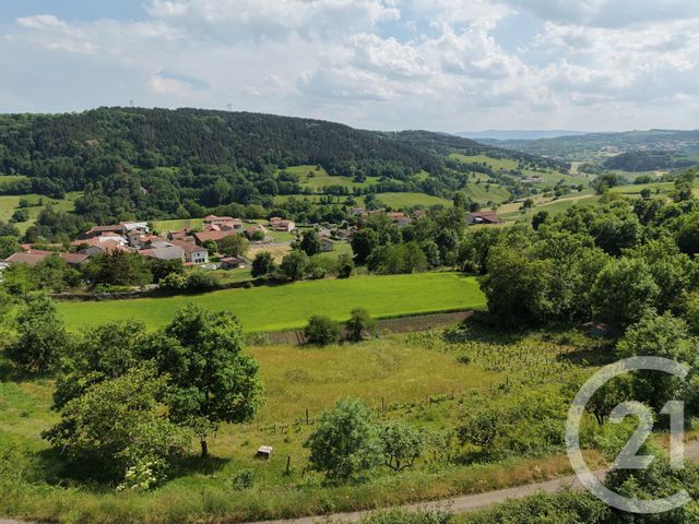 Terrain &agrave; vendre - 2971 m2 - Polignac - 43 - AUVERGNE