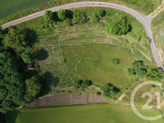 Terrain &agrave; vendre - 2971 m2 - Polignac - 43 - AUVERGNE
