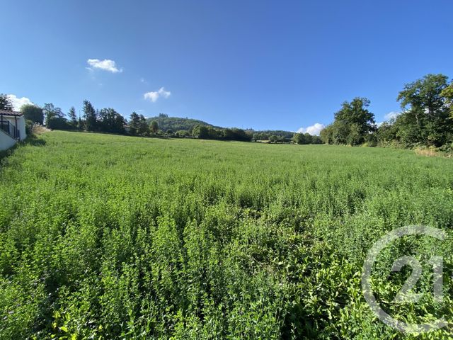 Terrain &agrave; vendre - 4522 m2 - Le Puy En Velay - 43 - AUVERGNE