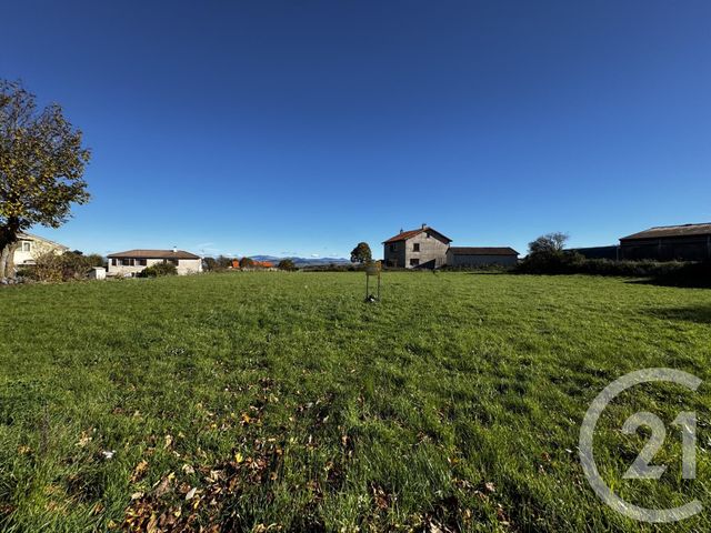 Terrain &agrave; vendre - 1177 m2 - Cayres - 43 - AUVERGNE