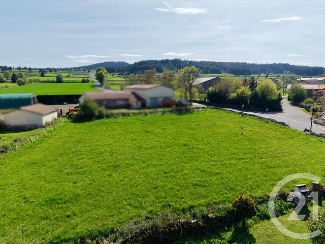 Terrain &agrave; vendre - 1450 m2 - Cayres - 43 - AUVERGNE
