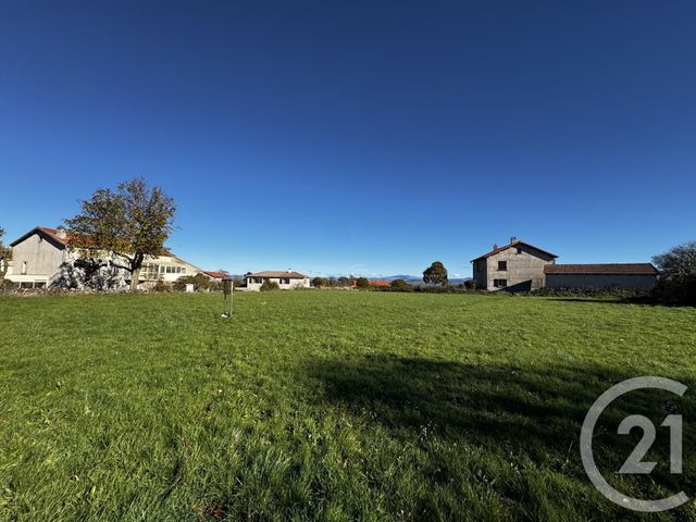 terrain - CAYRES - 43