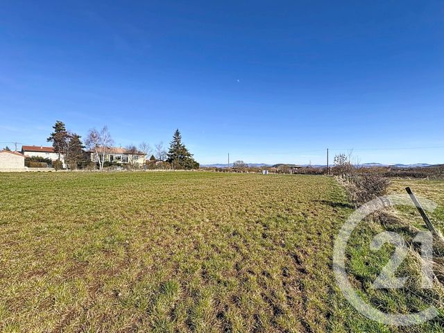 Terrain &agrave; vendre - 1500 m2 - Bains - 43 - AUVERGNE