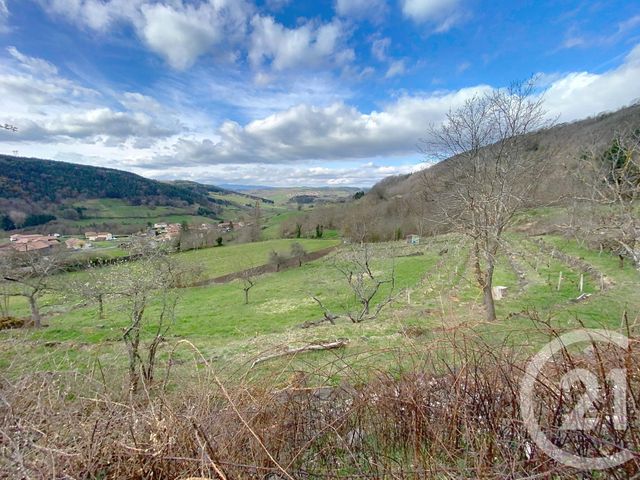 Terrain &agrave; vendre - 2971 m2 - Polignac - 43 - AUVERGNE