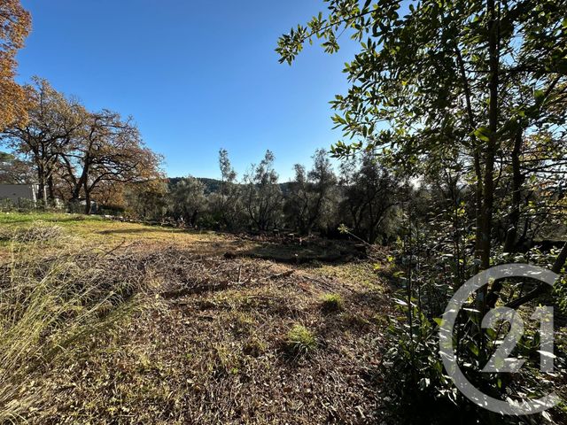 Terrain &agrave; vendre - 5677 m2 - Opio - 06 - PROVENCE-ALPES-COTE-D-AZUR