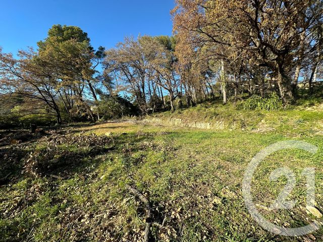 Terrain &agrave; vendre - 5677 m2 - Opio - 06 - PROVENCE-ALPES-COTE-D-AZUR