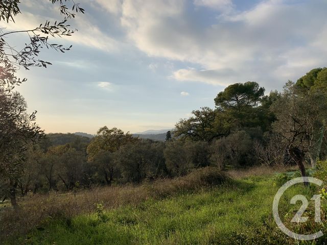 Terrain &agrave; vendre - 5677 m2 - Opio - 06 - PROVENCE-ALPES-COTE-D-AZUR