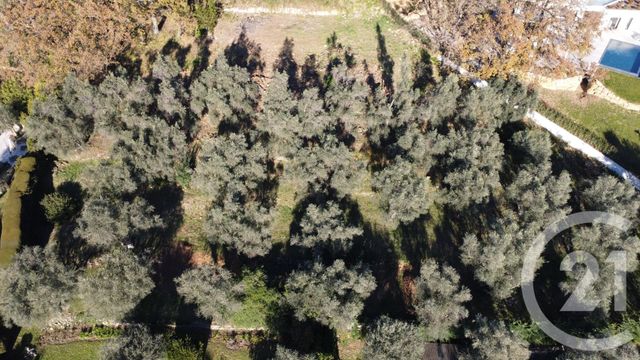 Terrain &agrave; vendre - 5677 m2 - Opio - 06 - PROVENCE-ALPES-COTE-D-AZUR