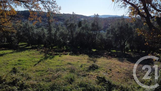 Terrain &agrave; vendre - 5677 m2 - Opio - 06 - PROVENCE-ALPES-COTE-D-AZUR
