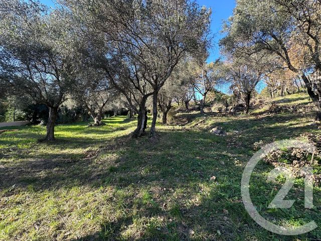 Terrain &agrave; vendre - 5677 m2 - Opio - 06 - PROVENCE-ALPES-COTE-D-AZUR