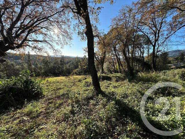 Terrain &agrave; vendre - 5677 m2 - Opio - 06 - PROVENCE-ALPES-COTE-D-AZUR