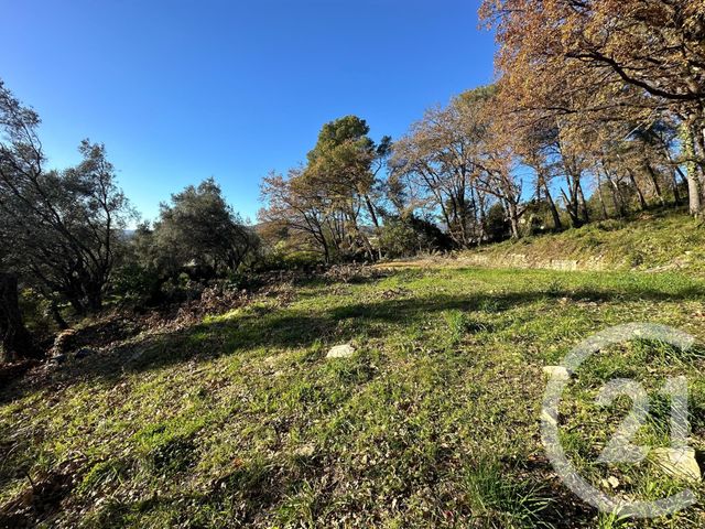 Terrain &agrave; vendre - 5677 m2 - Opio - 06 - PROVENCE-ALPES-COTE-D-AZUR