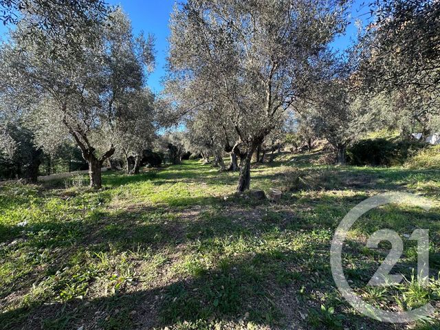 Terrain &agrave; vendre - 5677 m2 - Opio - 06 - PROVENCE-ALPES-COTE-D-AZUR