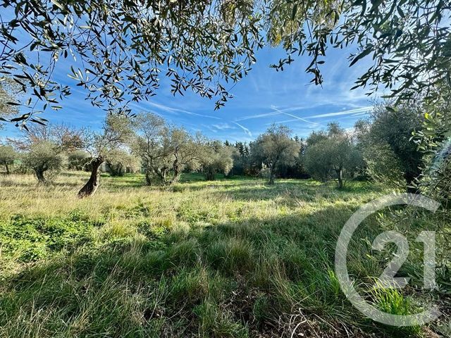Terrain &agrave; vendre - 2000 m2 - Opio - 06 - PROVENCE-ALPES-COTE-D-AZUR