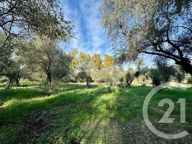 Terrain &agrave; vendre - 2000 m2 - Opio - 06 - PROVENCE-ALPES-COTE-D-AZUR