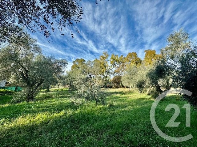 Terrain &agrave; vendre - 2000 m2 - Opio - 06 - PROVENCE-ALPES-COTE-D-AZUR
