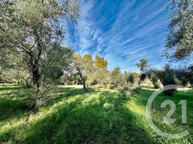 Terrain &agrave; vendre - 2000 m2 - Opio - 06 - PROVENCE-ALPES-COTE-D-AZUR