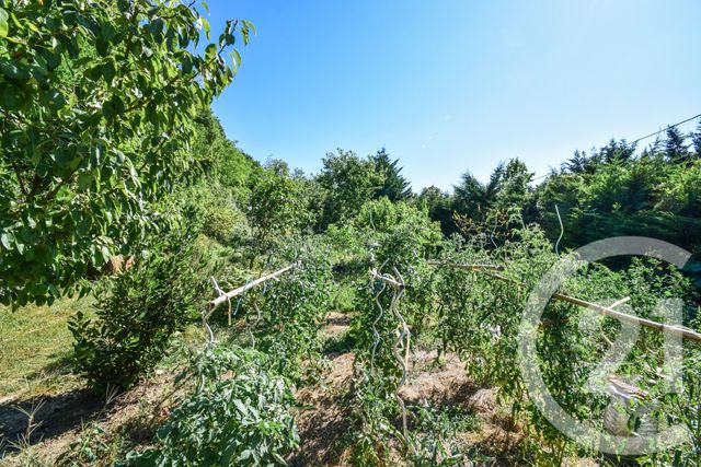 Maison à vendre - 5 pièces - 301,95 m2 - Jassans Riottier - 01 - RHONE-ALPES