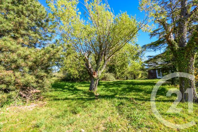 Maison &agrave; vendre - 9 pi&egrave;ces - 177,48 m2 - Lantignie - 69 - RHONE-ALPES