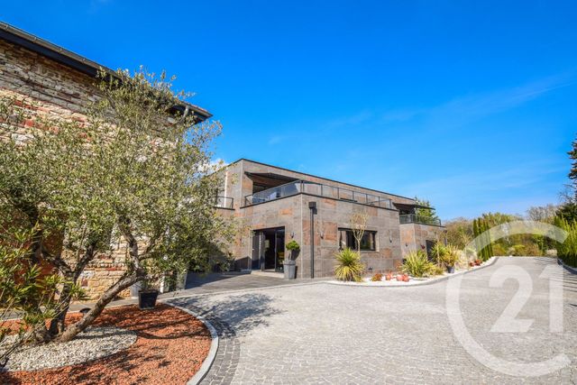 maison - ST DIDIER SUR CHALARONNE - 01