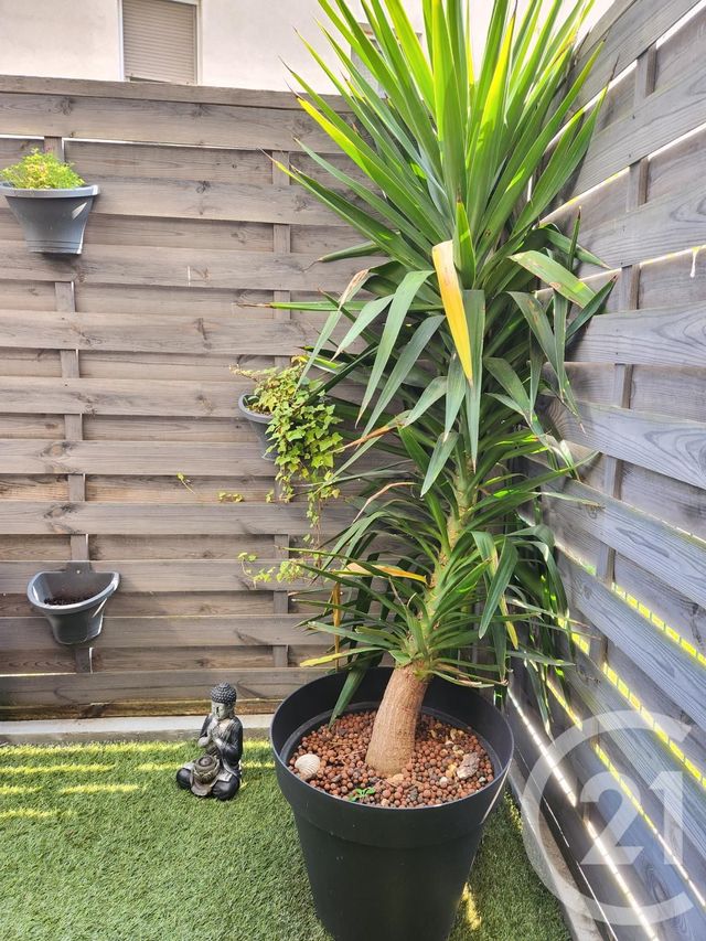 Appartement F3 &agrave; vendre - 3 pi&egrave;ces - 70,15 m2 - Vaulx En Velin - 69 - RHONE-ALPES