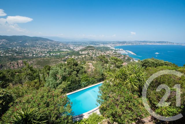 maison - THEOULE SUR MER - 06