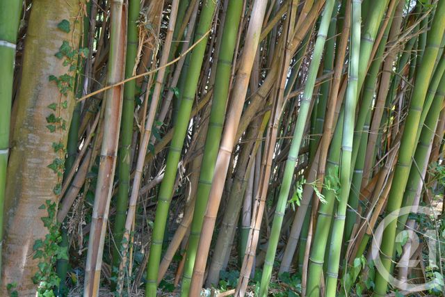 Maison à vendre - 13 pièces - 320 m2 - Mours St Eusebe - 26 - RHONE-ALPES