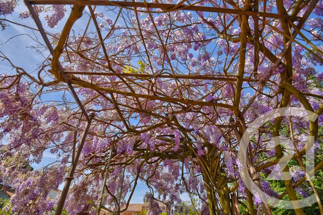 Maison &agrave; vendre - 4 pi&egrave;ces - 90 m2 - Romans Sur Isere - 26 - RHONE-ALPES