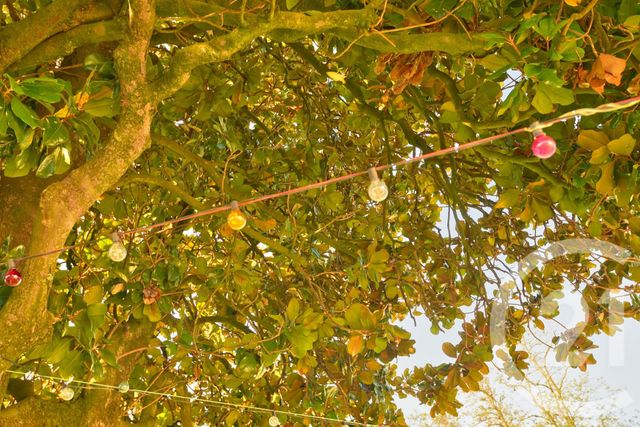 Maison &agrave; vendre - 7 pi&egrave;ces - 178,10 m2 - Romans Sur Isere - 26 - RHONE-ALPES