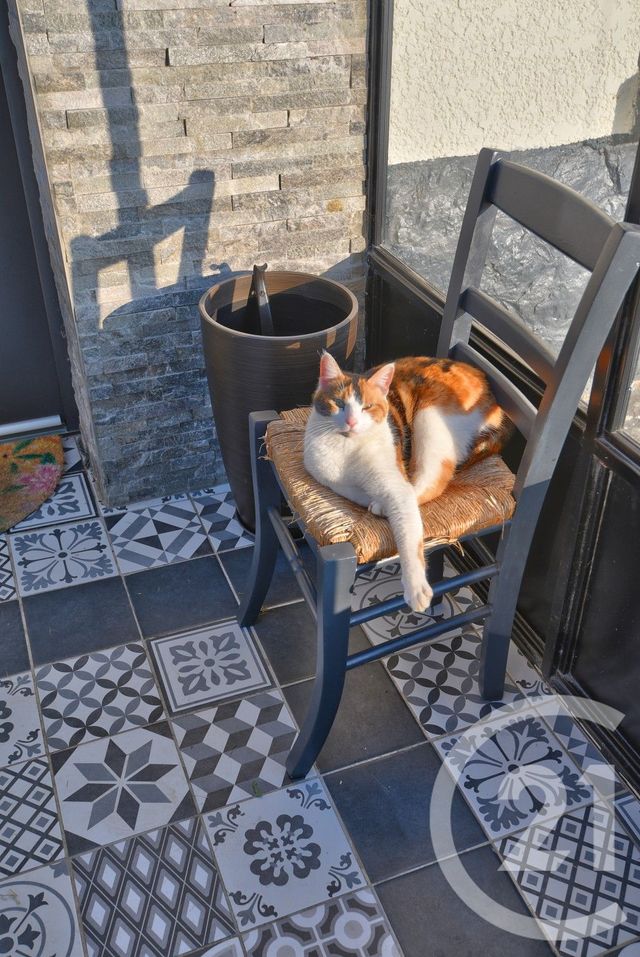 Maison &agrave; vendre - 7 pi&egrave;ces - 178,10 m2 - Romans Sur Isere - 26 - RHONE-ALPES