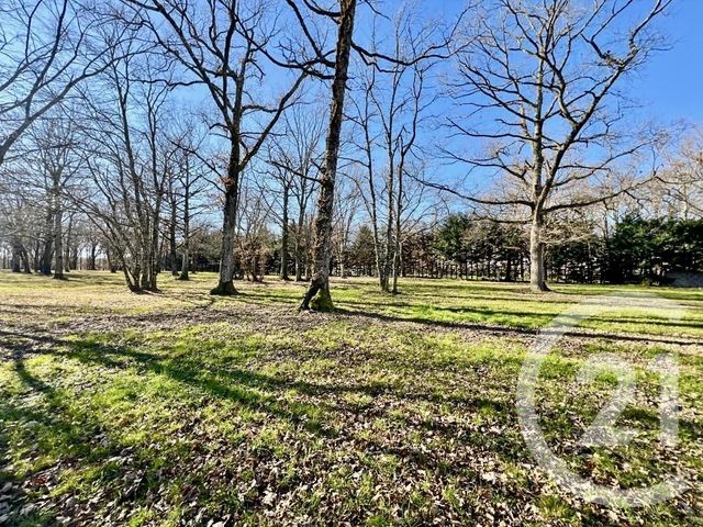 Maison &agrave; vendre - 4 pi&egrave;ces - 205 m2 - 31 - MIDI-PYRENEES