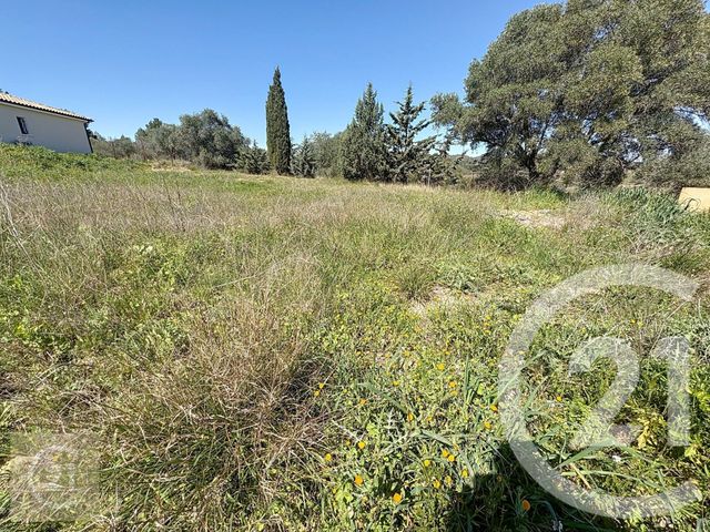 Terrain &agrave; vendre - 499 m2 - Cazouls Les Beziers - 34 - LANGUEDOC-ROUSSILLON