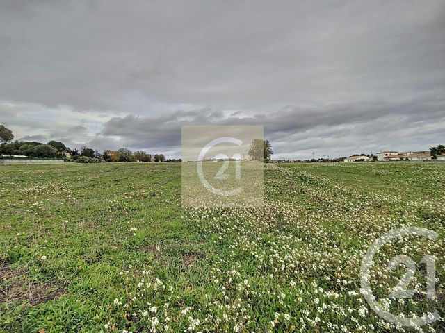 Terrain &agrave; vendre - 442 m2 - Espondeilhan - 34 - LANGUEDOC-ROUSSILLON