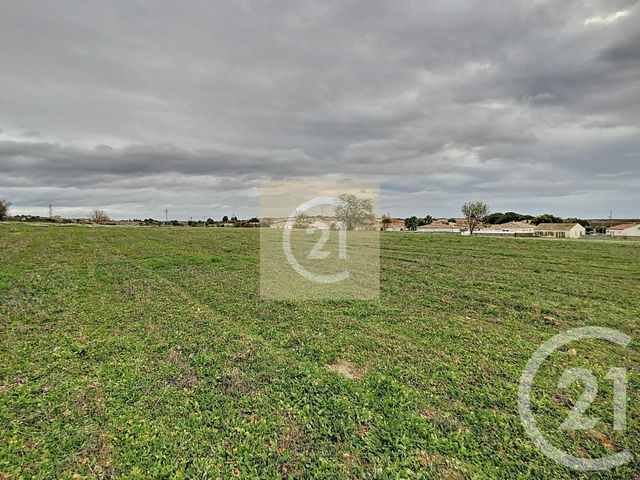 Terrain &agrave; vendre - 442 m2 - Espondeilhan - 34 - LANGUEDOC-ROUSSILLON