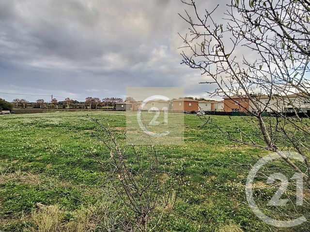 Terrain &agrave; vendre - 442 m2 - Espondeilhan - 34 - LANGUEDOC-ROUSSILLON