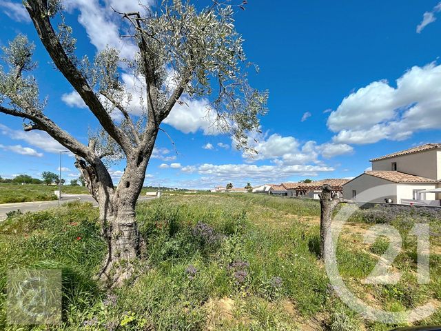 Terrain &agrave; vendre - 832 m2 - Espondeilhan - 34 - LANGUEDOC-ROUSSILLON