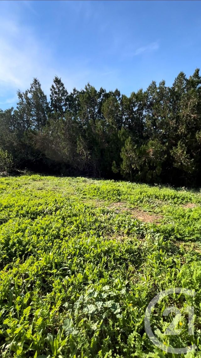 Terrain &agrave; vendre - 568 m2 - Beziers - 34 - LANGUEDOC-ROUSSILLON
