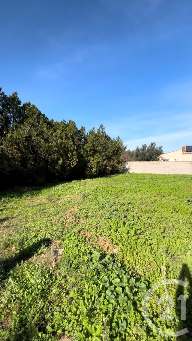 Terrain &agrave; vendre - 568 m2 - Beziers - 34 - LANGUEDOC-ROUSSILLON