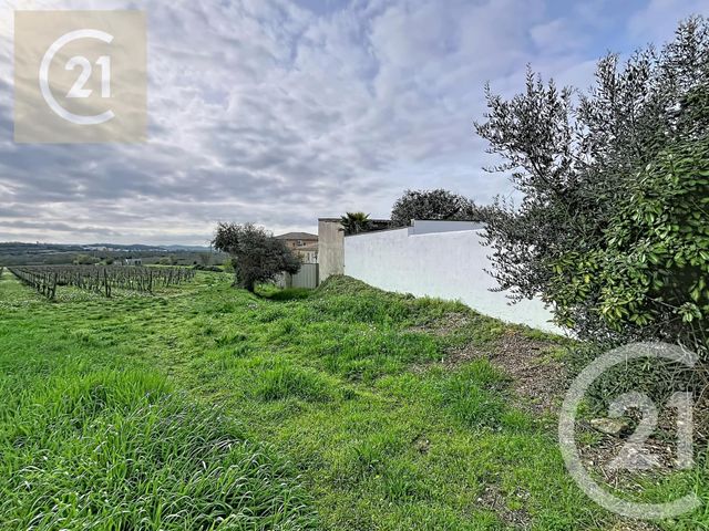 Maison &agrave; vendre - 7 pi&egrave;ces - 212 m2 - Murviel Les Beziers - 34 - LANGUEDOC-ROUSSILLON