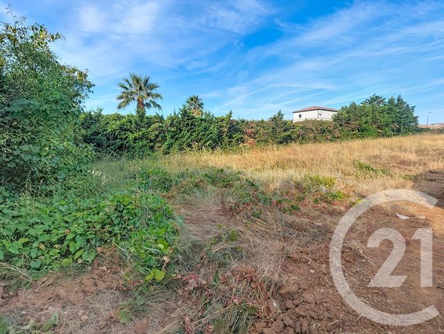 terrain - THEZAN LES BEZIERS - 34