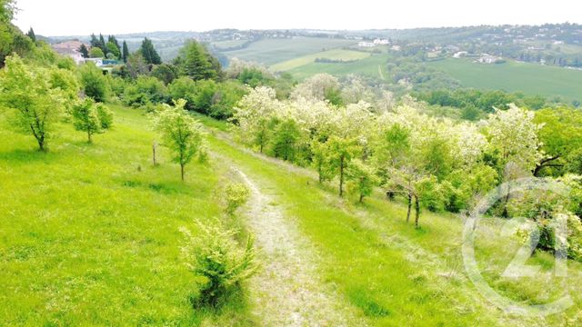Terrain &agrave; vendre - 9378 m2 - Toulouse - 31 - MIDI-PYRENEES
