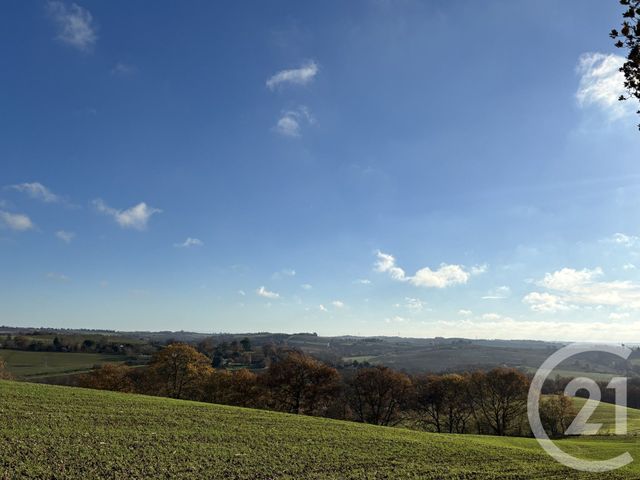 Terrain &agrave; vendre - 16050 m2 - Venerque - 31 - MIDI-PYRENEES