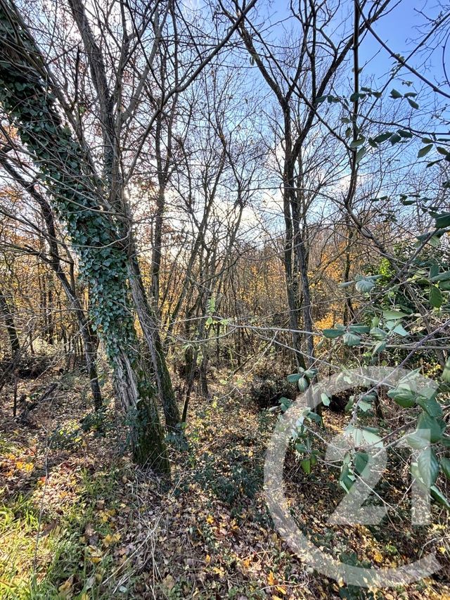 terrain - VENERQUE - 31