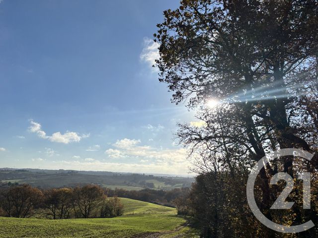 Terrain &agrave; vendre - 16050 m2 - Venerque - 31 - MIDI-PYRENEES