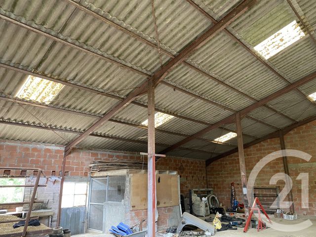 Divers &agrave; vendre - 225 m2 - Avignonet Lauragais - 31 - MIDI-PYRENEES