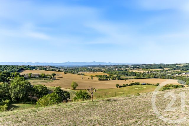 Maison &agrave; vendre - 8 pi&egrave;ces - 383 m2 - L Isle En Dodon - 31 - MIDI-PYRENEES