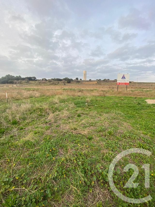 Terrain &agrave; vendre - 1620 m2 - Puilacher - 34 - LANGUEDOC-ROUSSILLON