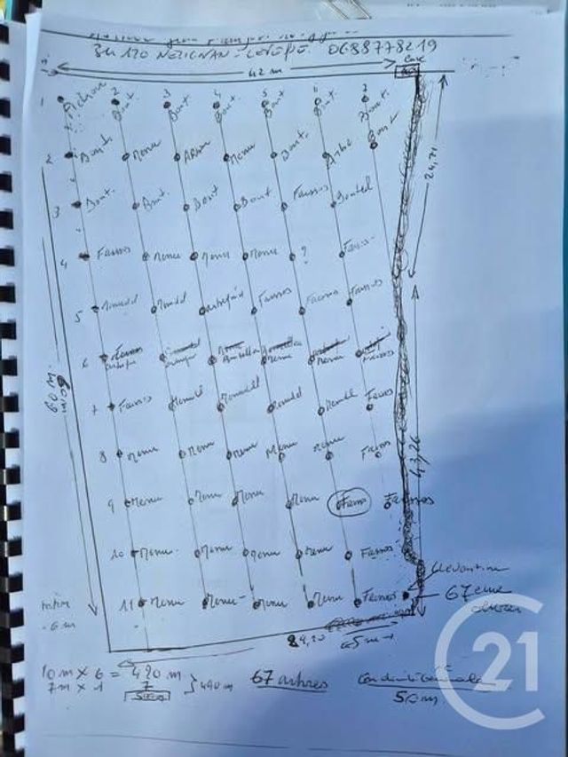 Terrain &agrave; vendre - 2719 m2 - Neffies - 34 - LANGUEDOC-ROUSSILLON