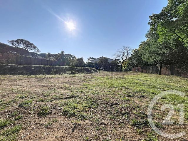 Terrain &agrave; vendre - 705 m2 - Roquebrune Sur Argens - 83 - PROVENCE-ALPES-COTE-D-AZUR